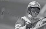 Harness racing 120708_3